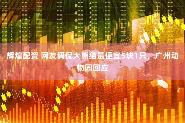 辉煌配资 网友调侃大熊猫最便宜5块1只，广州动物园回应