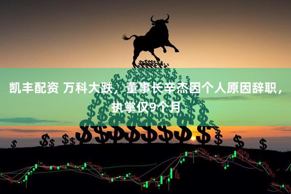 凯丰配资 万科大跌，董事长辛杰因个人原因辞职，执掌仅9个月